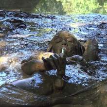 Jayce: Deepest Mud-filling-ripping-hitachi+pov BJ and Caught!