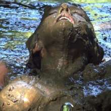 Jayce: Deepest Mud-filling-ripping-hitachi+pov BJ and Caught!