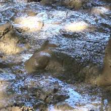 Jayce: Deepest Mud-filling-ripping-hitachi+pov BJ and Caught!
