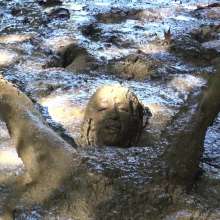 Jayce: Deepest Mud-filling-ripping-hitachi+pov BJ and Caught!
