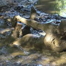 Jayce: Deepest Mud-filling-ripping-hitachi+pov BJ and Caught!