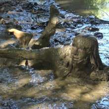 Jayce: Deepest Mud-filling-ripping-hitachi+pov BJ and Caught!