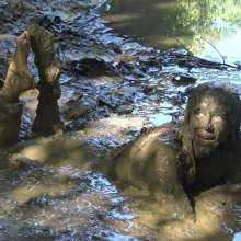 Jayce: Deepest Mud-filling-ripping-hitachi+pov BJ and Caught!