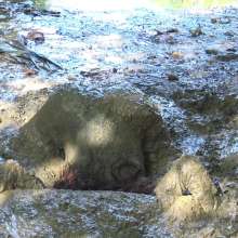 Jayce: Deepest Mud-filling-ripping-hitachi+pov BJ and Caught!