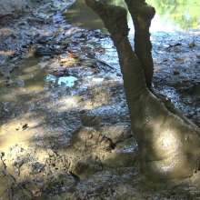 Jayce: Deepest Mud-filling-ripping-hitachi+pov BJ and Caught!