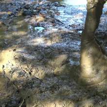 Jayce: Deepest Mud-filling-ripping-hitachi+pov BJ and Caught!