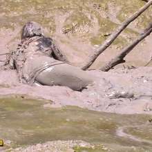 FOXY: Black dress in mud--part2