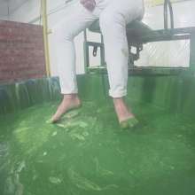 WamtasticUK: Gunk or Dunk with Topher and Steven