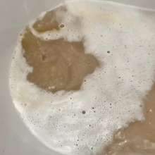 Your Wet Cat: I'm Your Sweet Dream (Part 3)