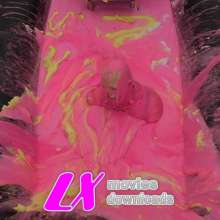 LiquidX: The Pie Clown on The Plunga!