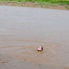 DungeonMasterOne: Lucia the Mud Runner