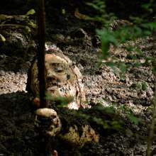 dlodoski: From the Dentist to the Bog--Photos