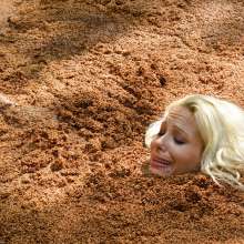 dlodoski: Summer, Pin-up Girl in Hollywood Quicksand--Photos