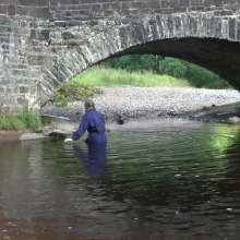 DungeonMasterOne: River Water Purity