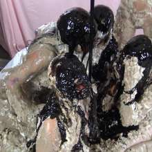 Jayce: Dixie is Back with 4 other gals in "Bed of Cakes 2.0!"