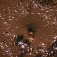 QS4Ever: Angel in Melted Chocolate