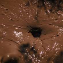 QS4Ever: Angel in Melted Chocolate
