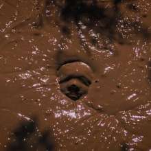 QS4Ever: Angel in Melted Chocolate