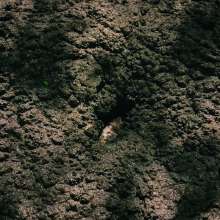 QS4Ever: Black Bottomless Forest Mud: Luna