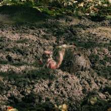 QS4Ever: Black Bottomless Forest Mud: Luna