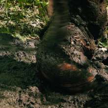 QS4Ever: Black Bottomless Forest Mud: Luna