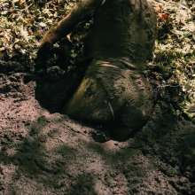 QS4Ever: Black Bottomless Forest Mud: Luna