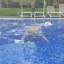 CheekyLuna: CheekyLuna's Around The Pool In Tenerife