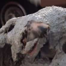 AimMePie: Fake cement recipe