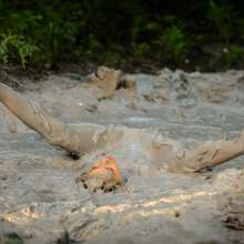 dlodoski: Anabelle's Messy Mud Fun--Photos