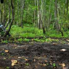 dlodoski: Ashley, Pursued Through the Swamp--Photos