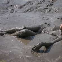 dlodoski: Nina, Mud Glamour in the Rice Paddy--Photos