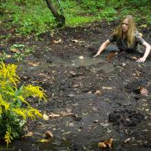 dlodoski: Star and the Bog Flowers--Photos