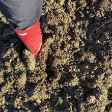 MuddySideUp: Muddy Red Hunters05