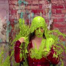 WildThang: Pie Scene Investigation: Mistaken Dispatch