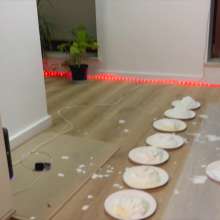 Your Wet Cat: Total Humiliation and Messy Nutella and Pies