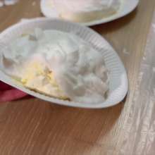 Your Wet Cat: Total Humiliation and Messy Nutella and Pies