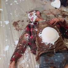 Your Wet Cat: Total Humiliation and Messy Nutella and Pies