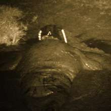 Swamp Angel: 89 I Dirty My Beautiful Long Latex Skirt, for You Part1
