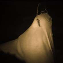 Swamp Angel: 89 I Dirty My Beautiful Long Latex Skirt, for You Part1