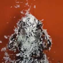 The Man and The Wife: New Download- "Amber: Tar and Feathered 3 Times... and Green Slimed"