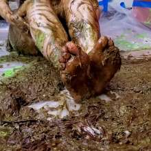 The Man and The Wife: New Download- "Amber: Tar and Feathered 3 Times... and Green Slimed"
