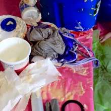 Larzstord: Bunni's Slop Bucket Quiz
