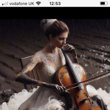 trashthedress: Johann strauss andre rieu orchestra