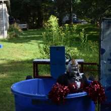 JD and Messy Andi: Dunk Tank, Pies and Slime; Oh My!