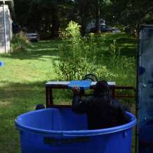 JD and Messy Andi: Dunk Tank, Pies and Slime; Oh My!