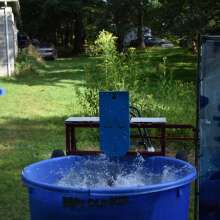 JD and Messy Andi: Dunk Tank, Pies and Slime; Oh My!