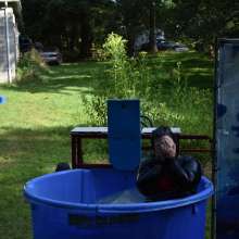 JD and Messy Andi: Dunk Tank, Pies and Slime; Oh My!