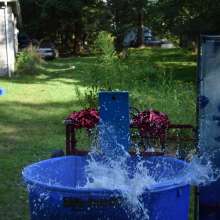 JD and Messy Andi: Dunk Tank, Pies and Slime; Oh My!
