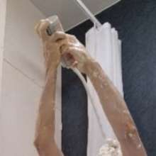LeRex: 