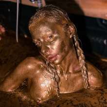Your Wet Cat: Oil with a royal shine?